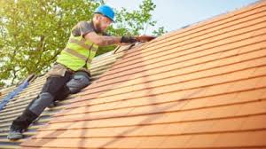 Best Emergency Roof Repair Services  in Mountain Lake, MN