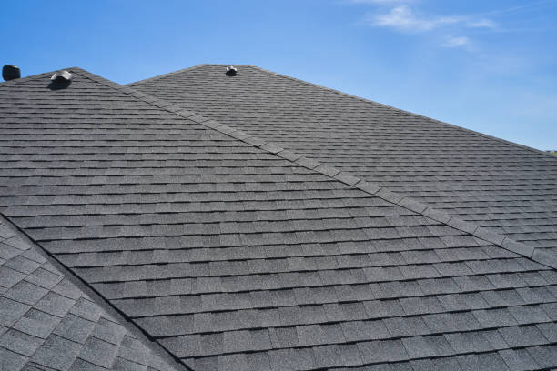 Best Sheet Metal Roofing  in Mountain Lake, MN